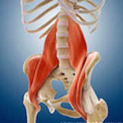 Psoas-Iliaco